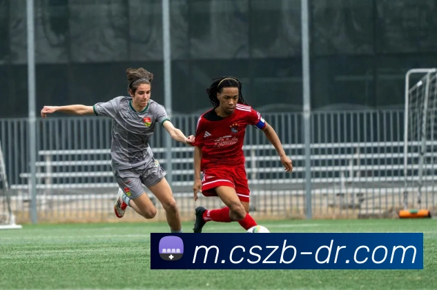 彩神争霸APP 高清赛事图